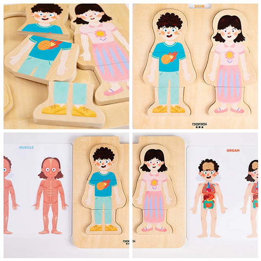 Layered Body Structure puzzle by Eduplay – builds problem solving and language skills