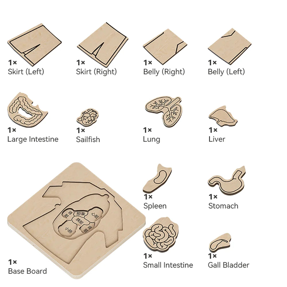 Body Structure wooden puzzle by Eduplay – builds problem solving and language skills