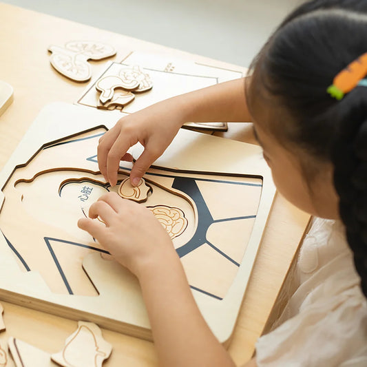 Body Structure wooden puzzle by Eduplay – builds problem solving and language skills