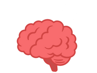 Develops 11 Core Skills