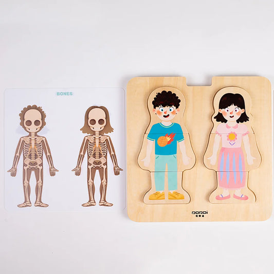 Layered Body Structure puzzle by Eduplay – builds problem solving and language skills