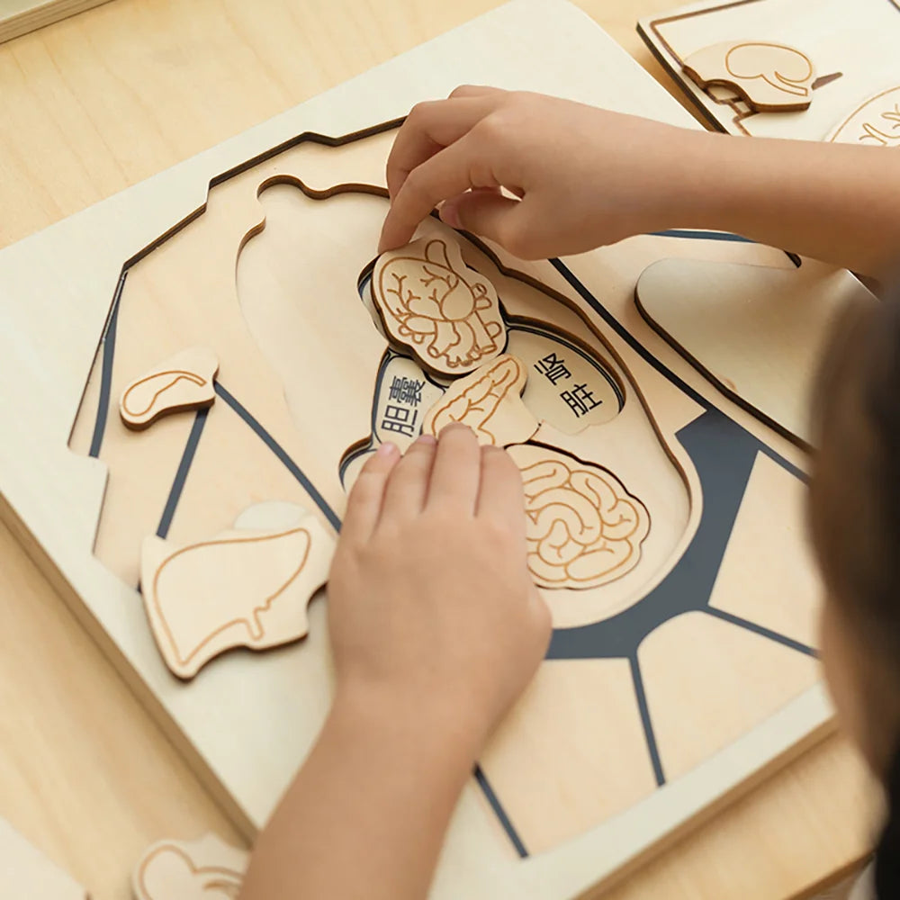 Body Structure wooden puzzle by Eduplay – builds problem solving and language skills